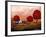 The Red Trees-Cherie Roe Dirksen-Framed Giclee Print