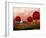 The Red Trees-Cherie Roe Dirksen-Framed Premium Giclee Print