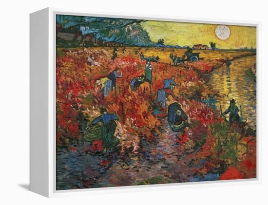 The Red Vineyard at Arles, c.1888-Vincent van Gogh-Framed Premier Image Canvas