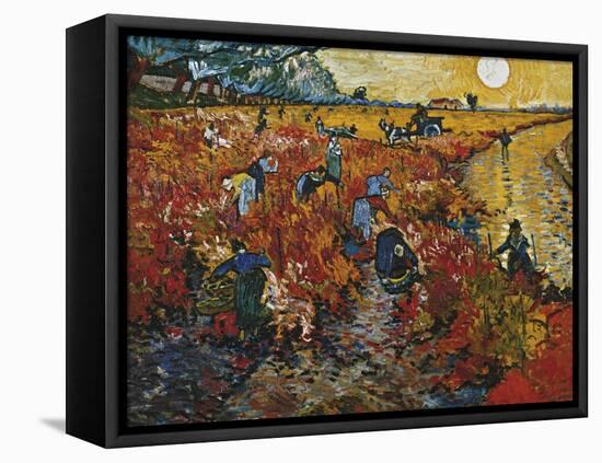 The Red Vineyard in Arles, 1888-Vincent van Gogh-Framed Premier Image Canvas