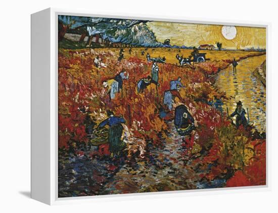 The Red Vineyard in Arles, 1888-Vincent van Gogh-Framed Premier Image Canvas