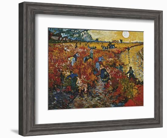 The Red Vineyard in Arles, 1888-Vincent van Gogh-Framed Giclee Print