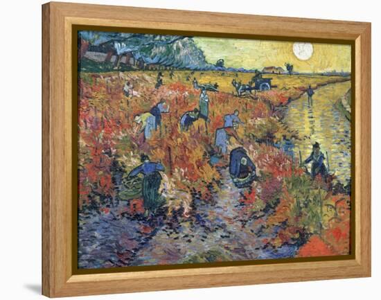 The Red Vineyards at Arles, 1888-Vincent van Gogh-Framed Premier Image Canvas