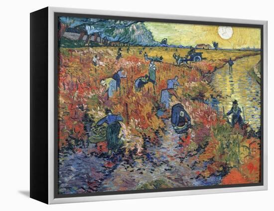 The Red Vineyards at Arles, 1888-Vincent van Gogh-Framed Premier Image Canvas