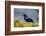 The Red-Winged Blackbird-Richard Wright-Framed Photographic Print