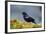 The Red-Winged Blackbird-Richard Wright-Framed Photographic Print