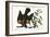 The Red-Winged Starling, 1749-73-Mark Catesby-Framed Giclee Print