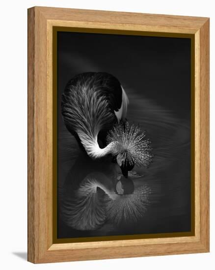 The Reflection-C.S.Tjandra-Framed Premier Image Canvas