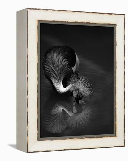 The Reflection-C.S.Tjandra-Framed Premier Image Canvas