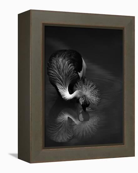 The Reflection-C.S.Tjandra-Framed Premier Image Canvas