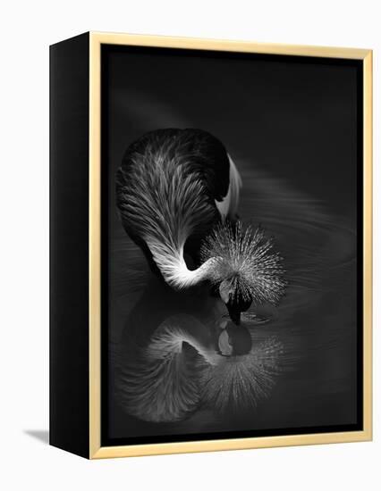 The Reflection-C.S.Tjandra-Framed Premier Image Canvas