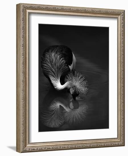 The Reflection-C.S.Tjandra-Framed Photographic Print