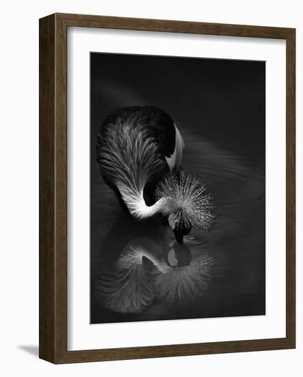 The Reflection-C.S.Tjandra-Framed Photographic Print