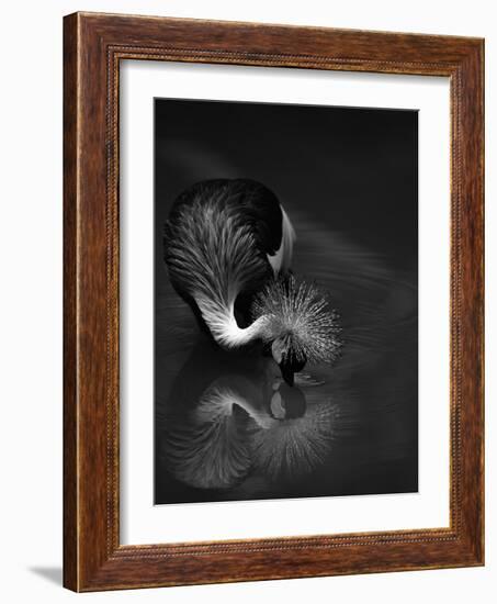 The Reflection-C.S.Tjandra-Framed Photographic Print