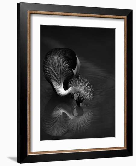 The Reflection-C.S.Tjandra-Framed Photographic Print