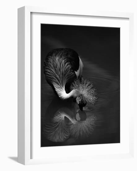 The Reflection-C.S.Tjandra-Framed Photographic Print