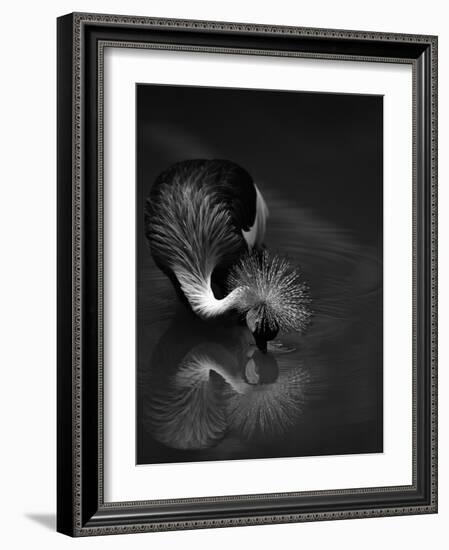 The Reflection-C.S.Tjandra-Framed Photographic Print