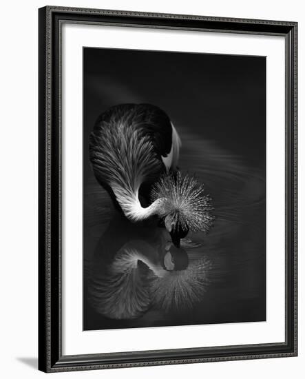 The Reflection-C.S.Tjandra-Framed Photographic Print