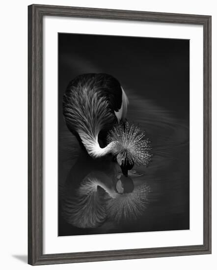 The Reflection-C.S.Tjandra-Framed Photographic Print