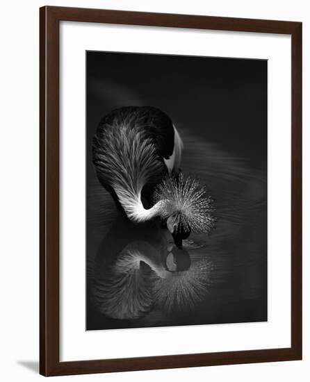 The Reflection-C.S.Tjandra-Framed Photographic Print