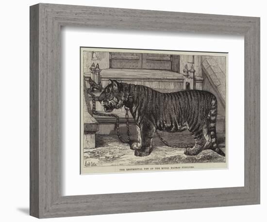 The Regimental Pet of the Royal Madras Fusiliers-Samuel John Carter-Framed Giclee Print