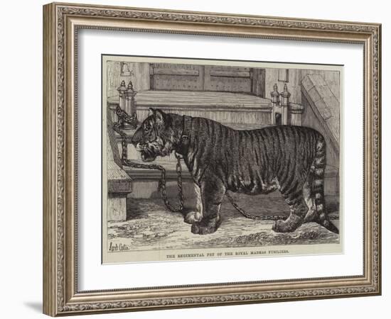 The Regimental Pet of the Royal Madras Fusiliers-Samuel John Carter-Framed Giclee Print