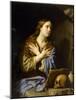 The Repentant Magdalen, 1648 (Oil on Canvas)-Philippe De Champaigne-Mounted Giclee Print