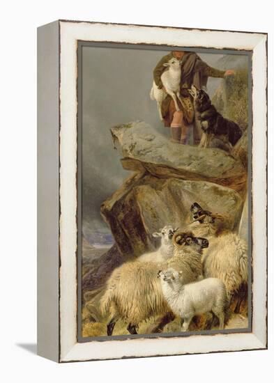 The Rescue, 1883-Richard Ansdell-Framed Premier Image Canvas