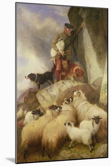 The Rescue-Richard Ansdell-Mounted Giclee Print