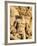 The Resistance by Antoine Etex, Dating from 1814, Sculpture on the Arc De Triomphe, Paris, France,-Godong-Framed Photographic Print