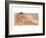 the Rest-Talantbek Chekirov-Framed Art Print