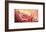 the Rest-Talantbek Chekirov-Framed Premium Giclee Print