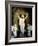 The Resurrection-Carl Bloch-Framed Giclee Print