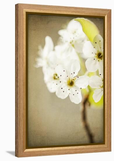 The Return-Jessica Rogers-Framed Premier Image Canvas