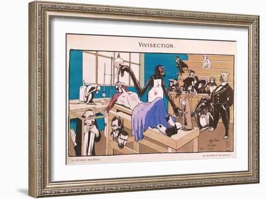 The Revenge of the Animals, Caricature of Vivisection, 1909-null-Framed Giclee Print