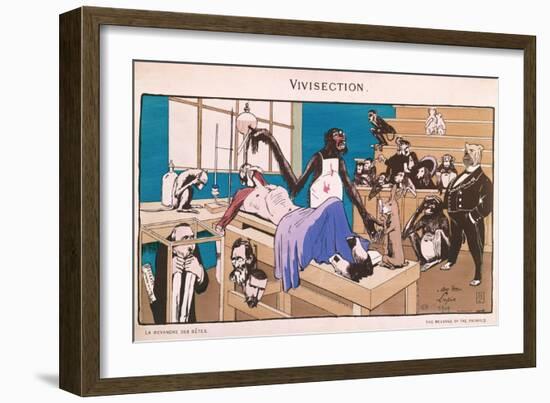 The Revenge of the Animals, Caricature of Vivisection, 1909-null-Framed Giclee Print