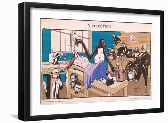 The Revenge of the Animals, Caricature of Vivisection, 1909-null-Framed Giclee Print