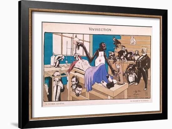 The Revenge of the Animals, Caricature of Vivisection, 1909-null-Framed Giclee Print