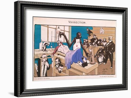 The Revenge of the Animals, Caricature of Vivisection, 1909-null-Framed Giclee Print