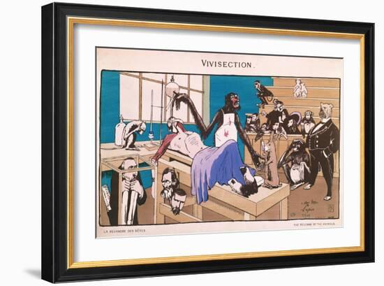 The Revenge of the Animals, Caricature of Vivisection, 1909-null-Framed Giclee Print