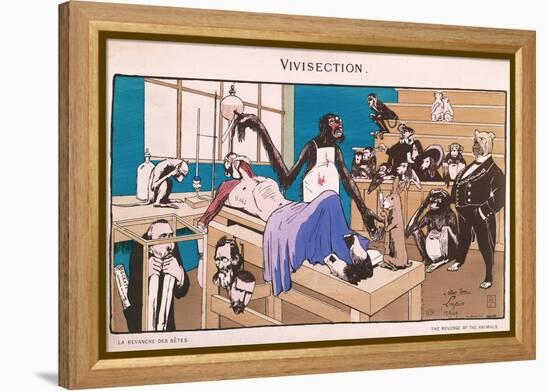 The Revenge of the Animals, Caricature of Vivisection, 1909-null-Framed Premier Image Canvas