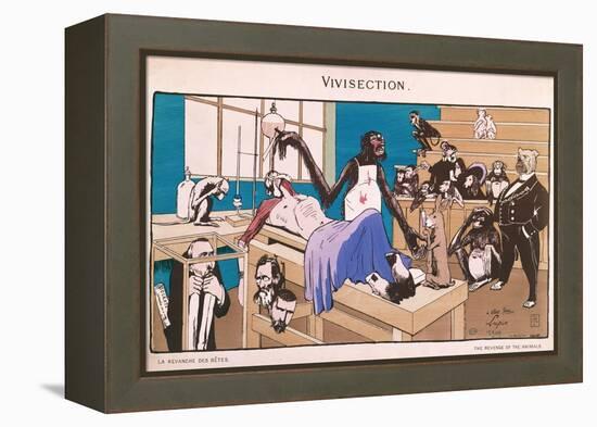 The Revenge of the Animals, Caricature of Vivisection, 1909-null-Framed Premier Image Canvas