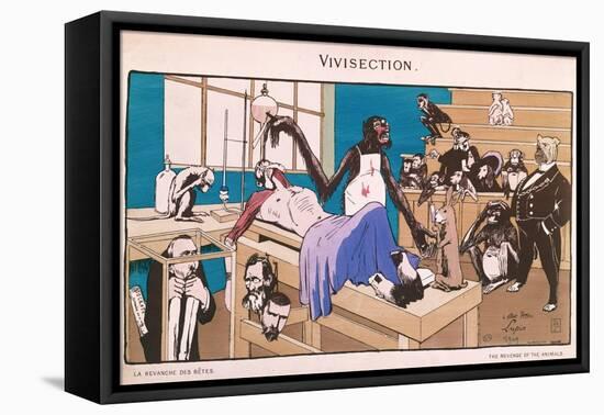 The Revenge of the Animals, Caricature of Vivisection, 1909-null-Framed Premier Image Canvas