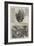 The Revolution in Sicily-Thomas Nast-Framed Giclee Print