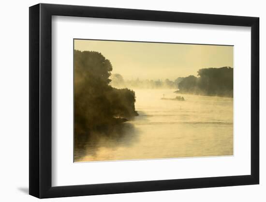 The Rhine, Fog Mood, Sunrise, Speyer, Rhineland-Palatinate, Germany-Ronald Wittek-Framed Photographic Print