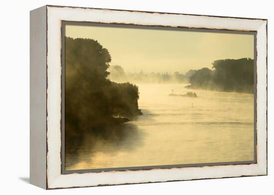 The Rhine, Fog Mood, Sunrise, Speyer, Rhineland-Palatinate, Germany-Ronald Wittek-Framed Premier Image Canvas