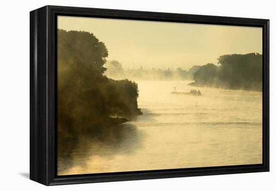 The Rhine, Fog Mood, Sunrise, Speyer, Rhineland-Palatinate, Germany-Ronald Wittek-Framed Premier Image Canvas