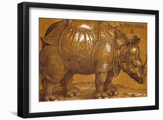 The Rhinoceros, 1515, Pen and Ink, Wash-Albrecht Dürer-Framed Giclee Print