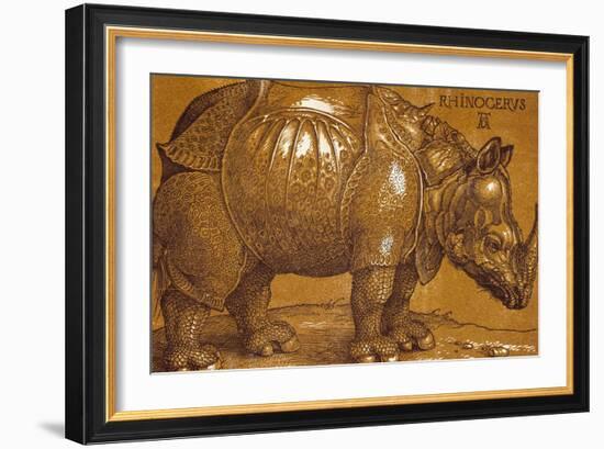 The Rhinoceros, 1515, Pen and Ink, Wash-Albrecht Dürer-Framed Giclee Print