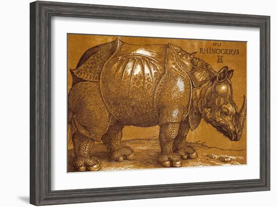 The Rhinoceros, 1515 Pen and ink, wash.-Albrecht Dürer-Framed Giclee Print